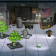 Image for article titled Advertising A Game About Weed Is Hard